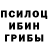 Псилоцибиновые грибы прущие грибы Liam Reilly