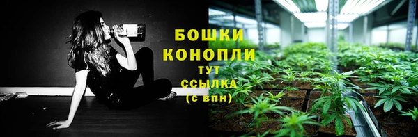 прущие грибы Беломорск