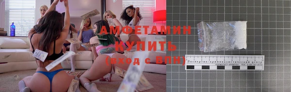 прущие грибы Беломорск