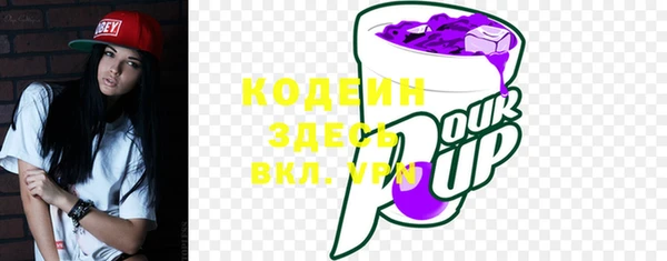 прущие грибы Беломорск
