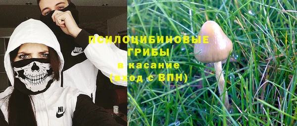 твердый Белокуриха