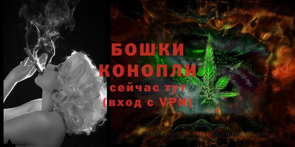 прущие грибы Беломорск