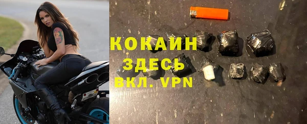 прущие грибы Беломорск