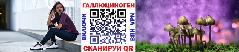 мега ONION  купить наркотик  Куртамыш  Псилоцибиновые грибы Psilocybine cubensis 